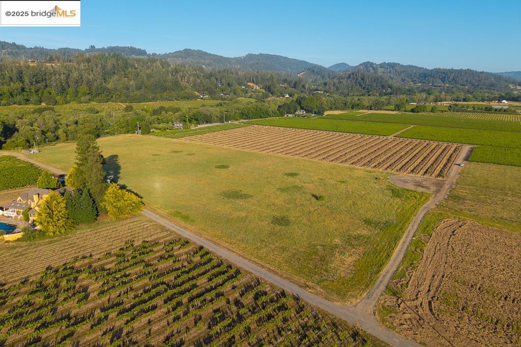 838 Dry Creek Road Healdsburg, CA 95448 - Photo 17 of 22 Aerial overview of property's location with farmland, rural landscape, and a mountainous background