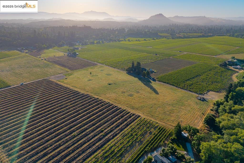 838 Dry Creek Road Healdsburg, CA 95448 - Photo 7 of 22 View of rural area featuring a mountain backdrop and farmland