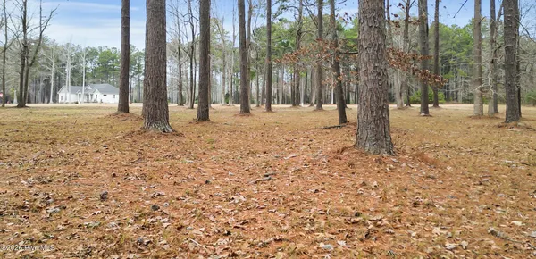 $30,000 | 117 Southern Plantation Drive North, Oriental, NC 28571