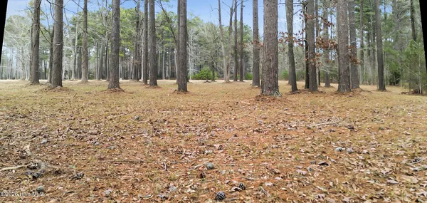 $30,000 | 117 Southern Plantation Drive North, Oriental, NC 28571