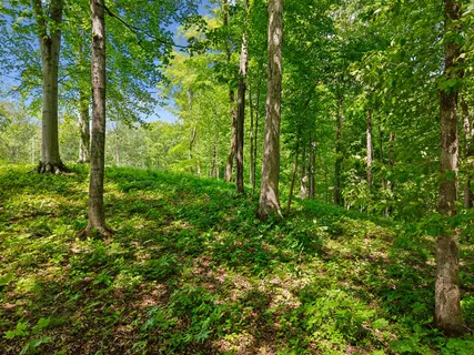 $650,000 | 0 Casparis Road, Franklin, TN 37064