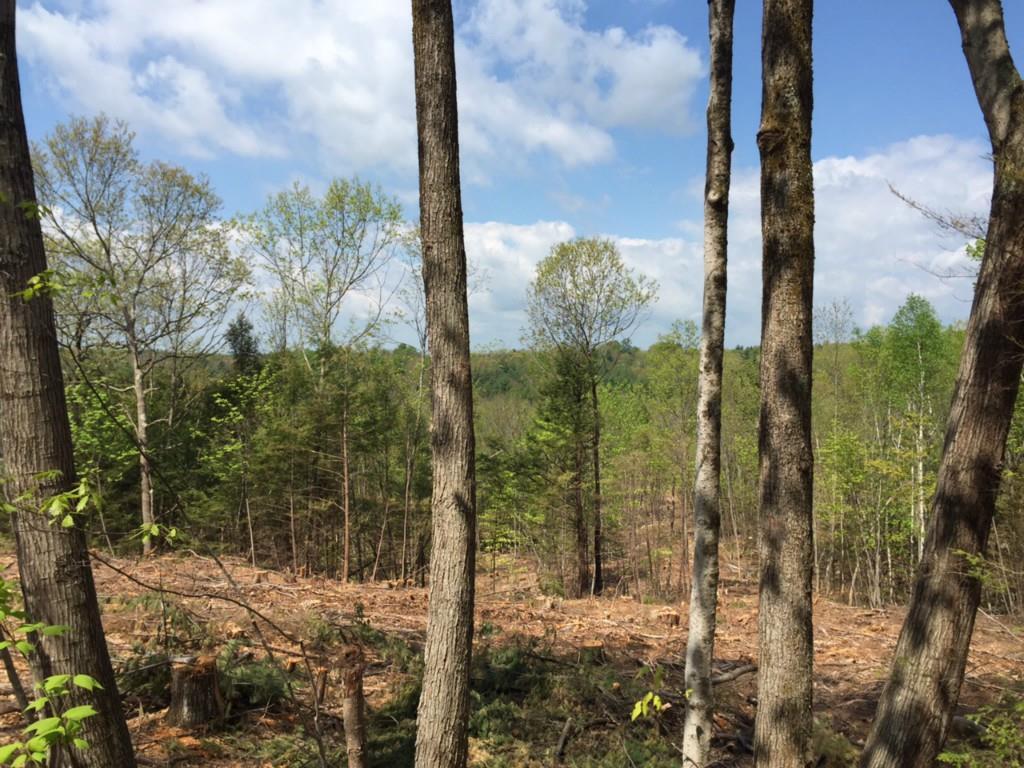 113 Gile Road Fayette, ME 04349 - Photo 1 of 5 Photo