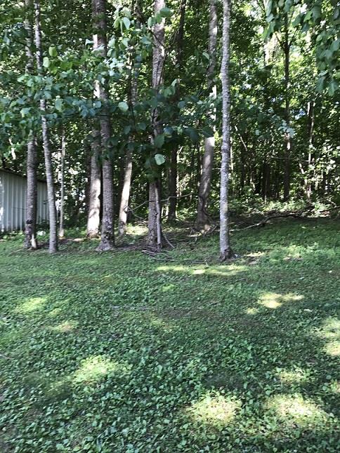 414 Parker Road Portland, TN 37148 - Photo 6 of 29 Gallery Image 6