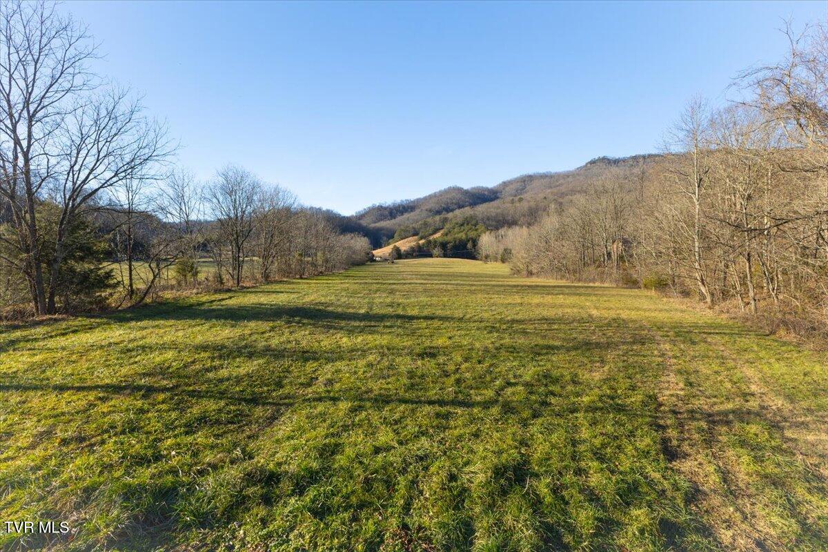 Tbd Nelse Roberts Road Greeneville, TN 37745 - Photo 14 of 29 06-128A1164