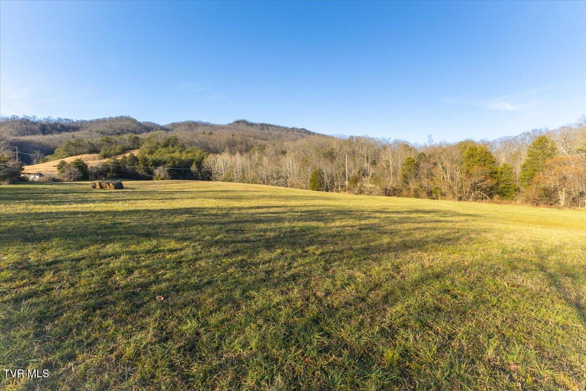 Tbd Nelse Roberts Road Greeneville, TN 37745 - Photo 16 of 29 08-128A1166