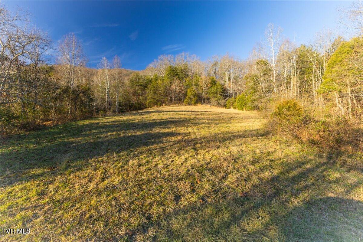 Tbd Nelse Roberts Road Greeneville, TN 37745 - Photo 19 of 29 11-128A1169