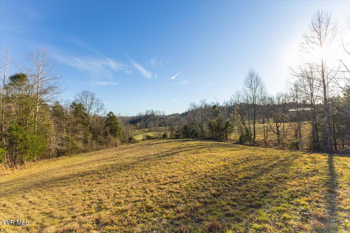 Tbd Nelse Roberts Road Greeneville, TN 37745 - Photo 20 of 29 12-128A1170