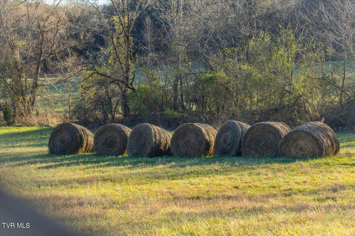 Tbd Nelse Roberts Road Greeneville, TN 37745 - Photo 21 of 29 13-128A1171