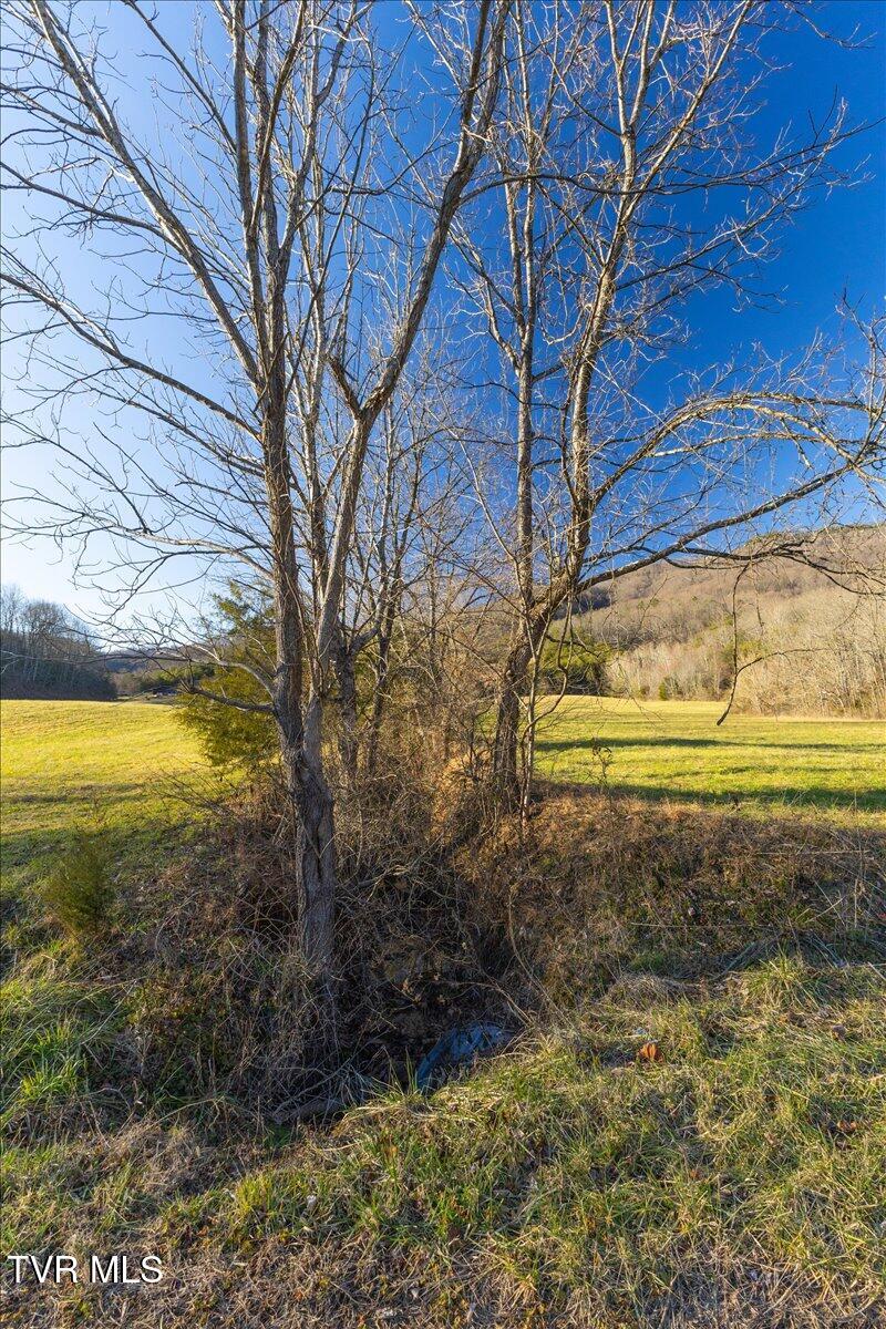 Tbd Nelse Roberts Road Greeneville, TN 37745 - Photo 22 of 29 04-128A1162