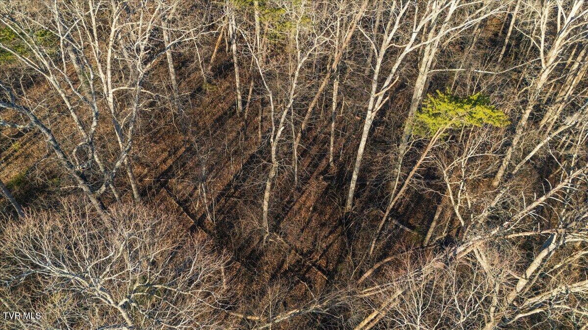 Tbd Nelse Roberts Road Greeneville, TN 37745 - Photo 25 of 29 24-DJI_20251220162003_0095_D
