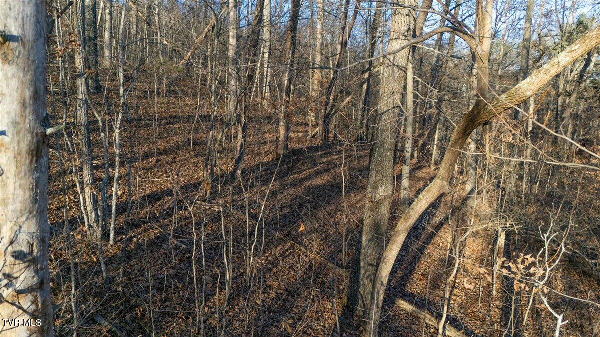 Tbd Nelse Roberts Road Greeneville, TN 37745 - Photo 26 of 29 25-DJI_20251220162034_0096_D
