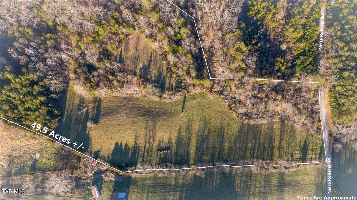 Tbd Nelse Roberts Road Greeneville, TN 37745 - Photo 7 of 29 16-DJI_20251220160402_0082_D