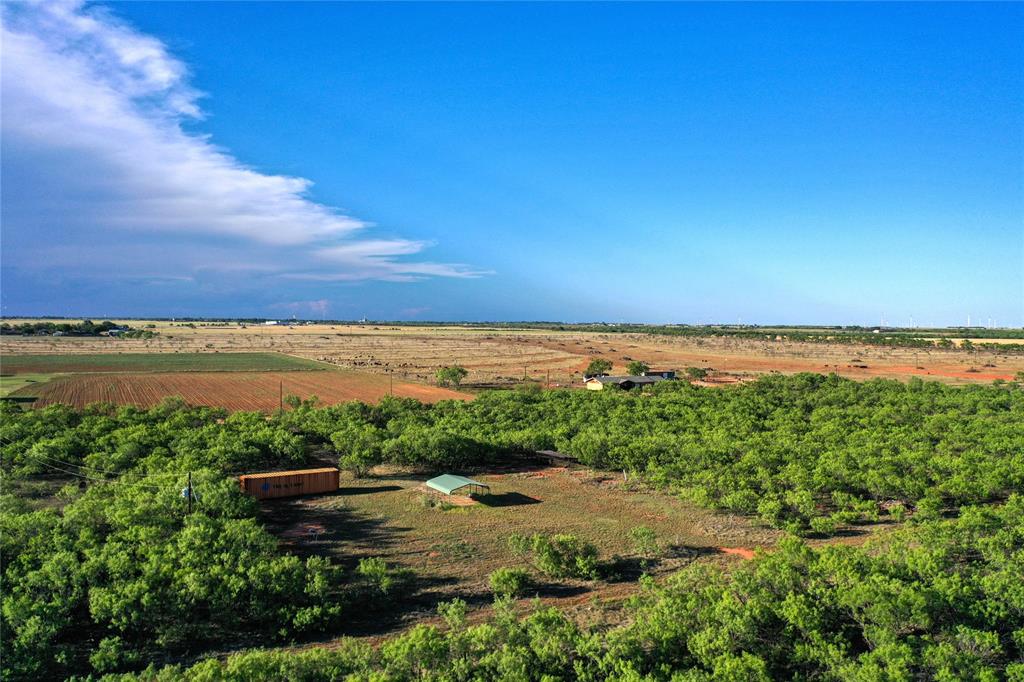 Tbd Kimbrough Road Haskell, TX 79521 - Photo 6 of 21