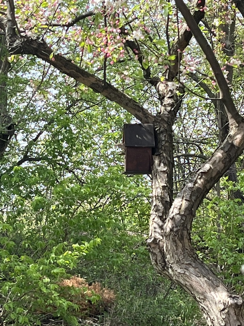 192 Brompton Lane, Unit B Sugar Grove, IL 60554 - Photo 19 of 24