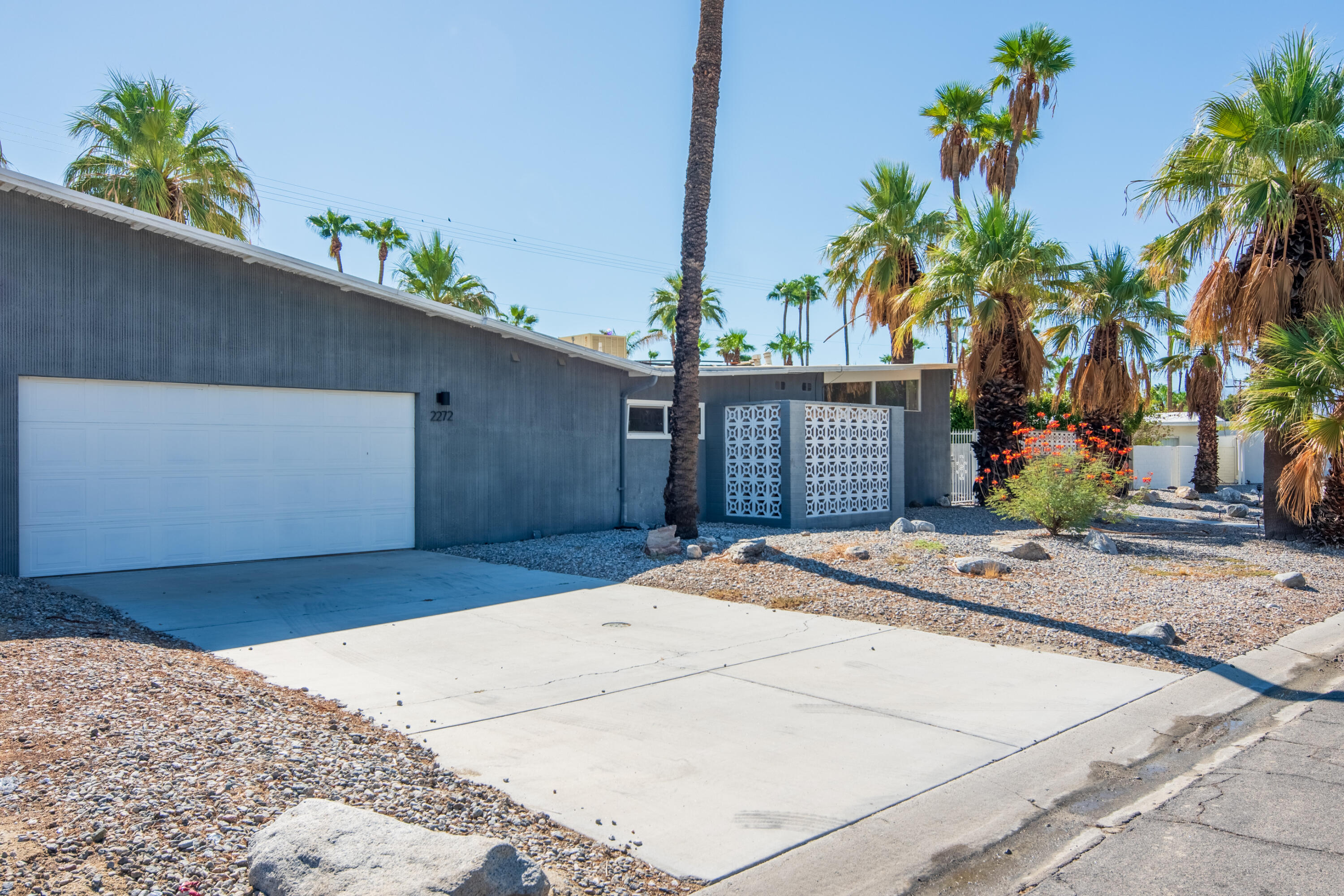 a house with palm tree in front of it