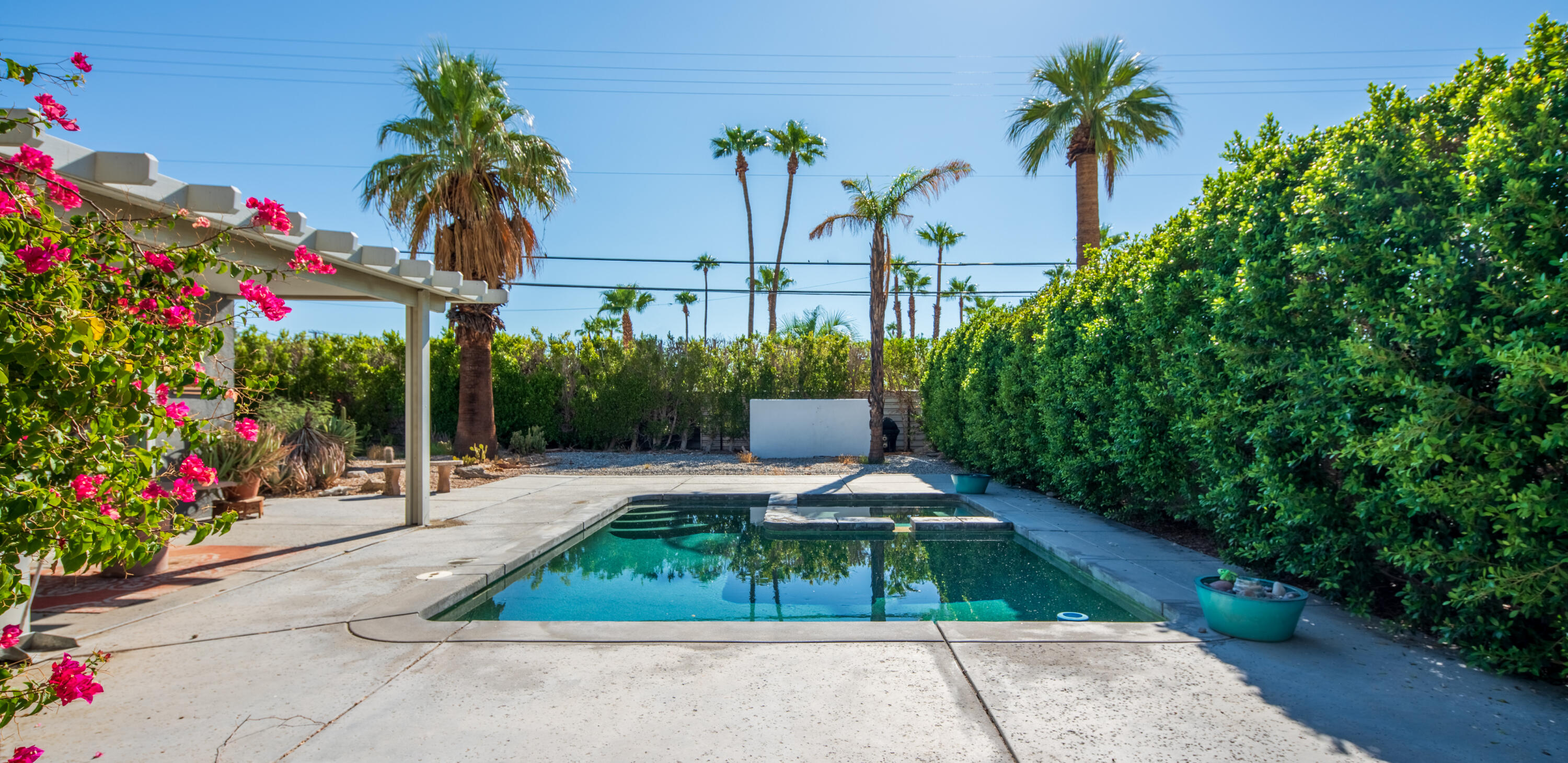 2272 North Starr Road Palm Springs, CA 92262 - Photo 25 of 38 a view of small garden with palm trees