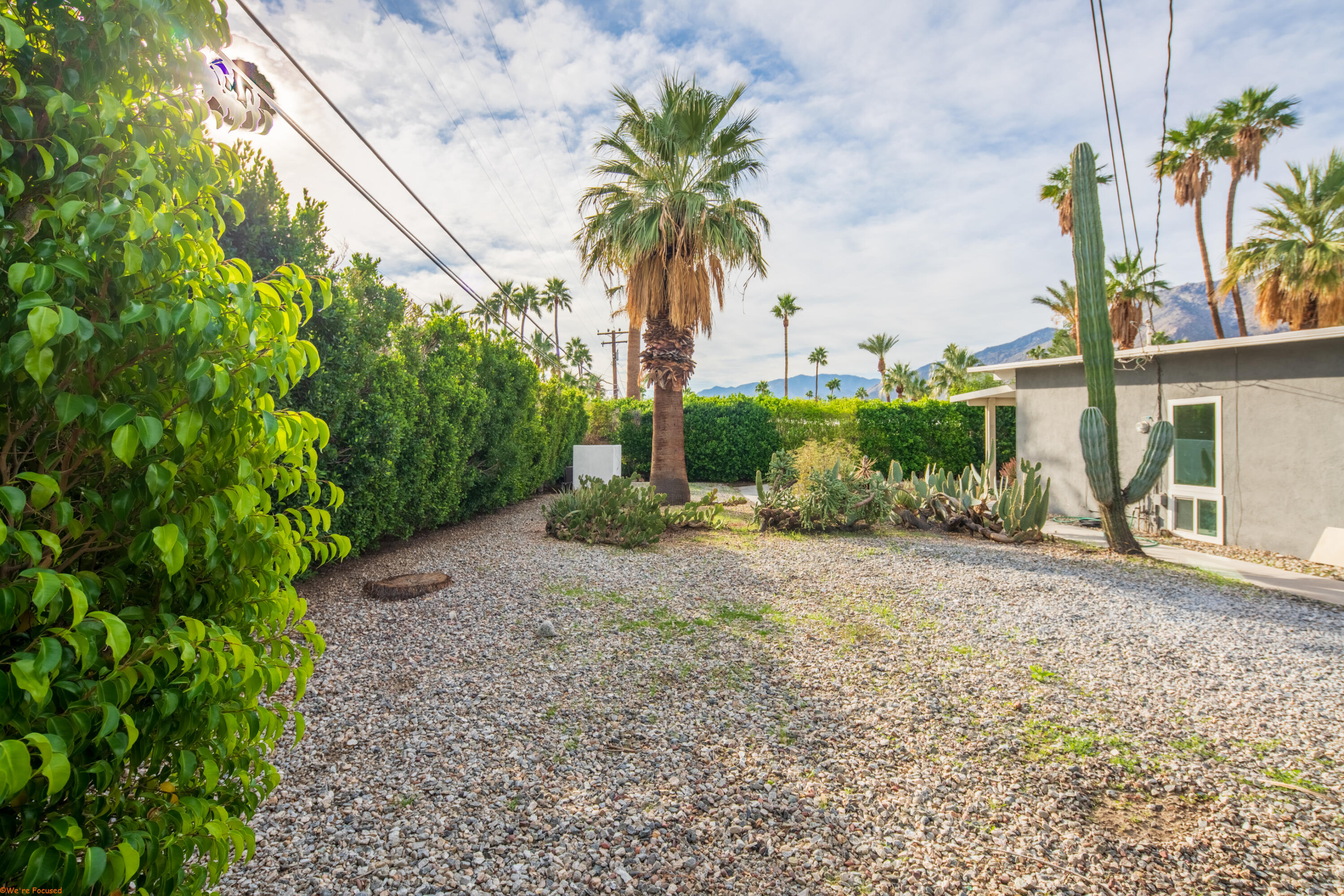 2272 North Starr Road Palm Springs, CA 92262 - Photo 34 of 38 a palm tree sitting in front of a house with a garden