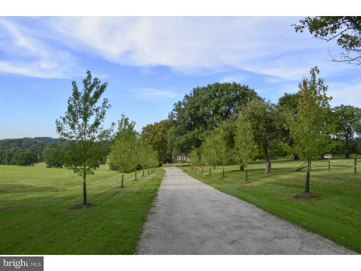 2430 Pikeland Road Chester Springs, PA 19425 - Photo 18 of 25 Driveway