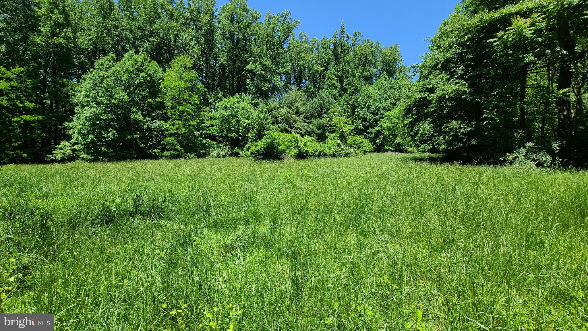 Hayes Road Myersville, MD 21773 - Photo 6 of 12 Cleared Site View