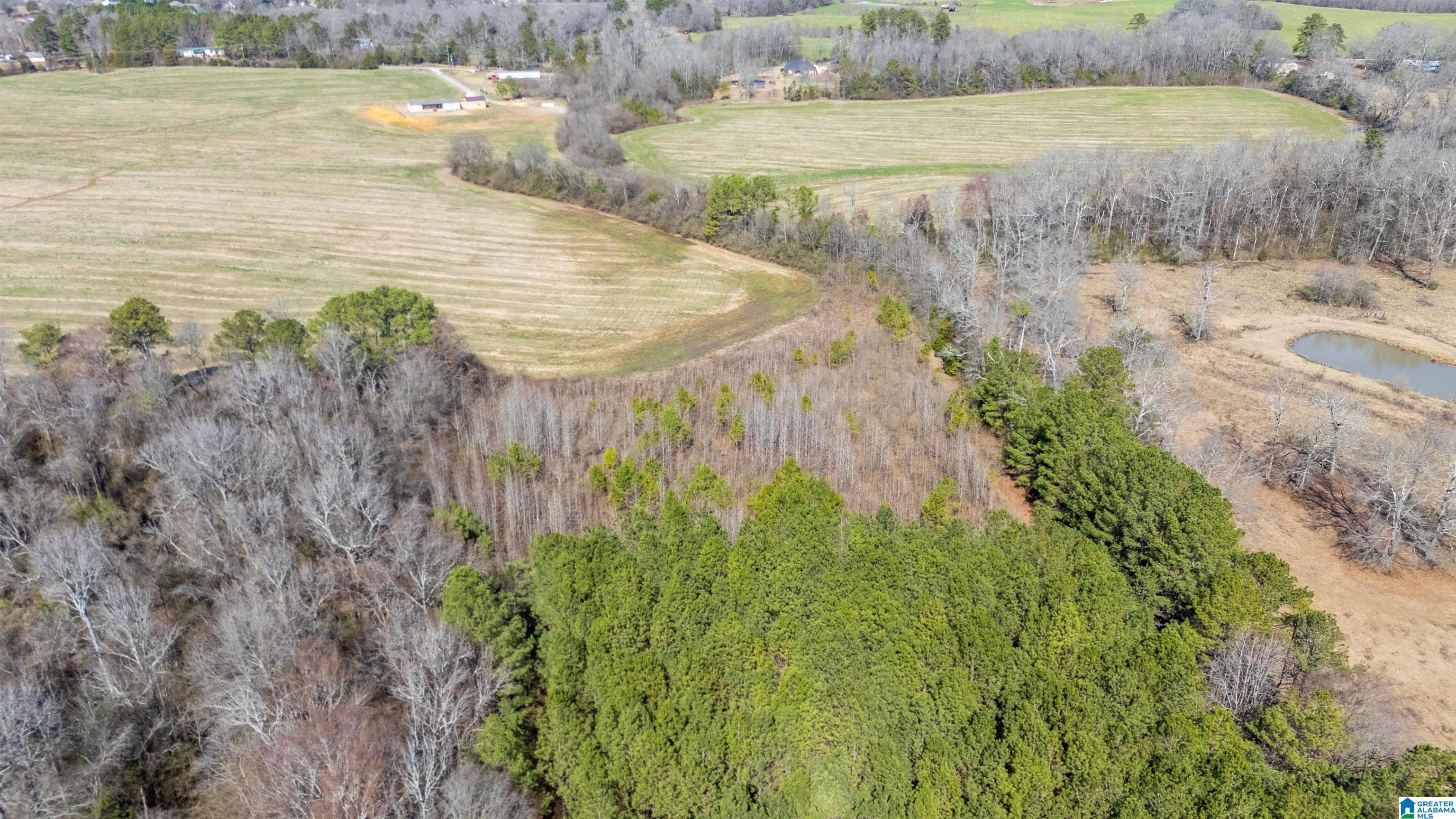 0 Brooks Lake Road, Unit 1 Lincoln, AL 35096 - Photo 5 of 10