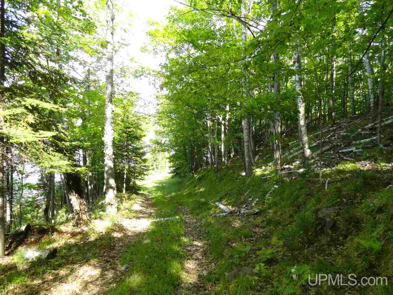 7202 Elm Road Republic, MI 49879 - Photo 26 of 36