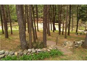 220 Surry Road Gilsum, NH 03448 - Photo 8 of 9
