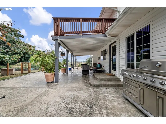 a view of a yard with plants