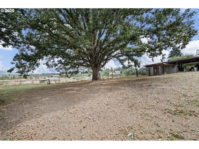 a view of a backyard
