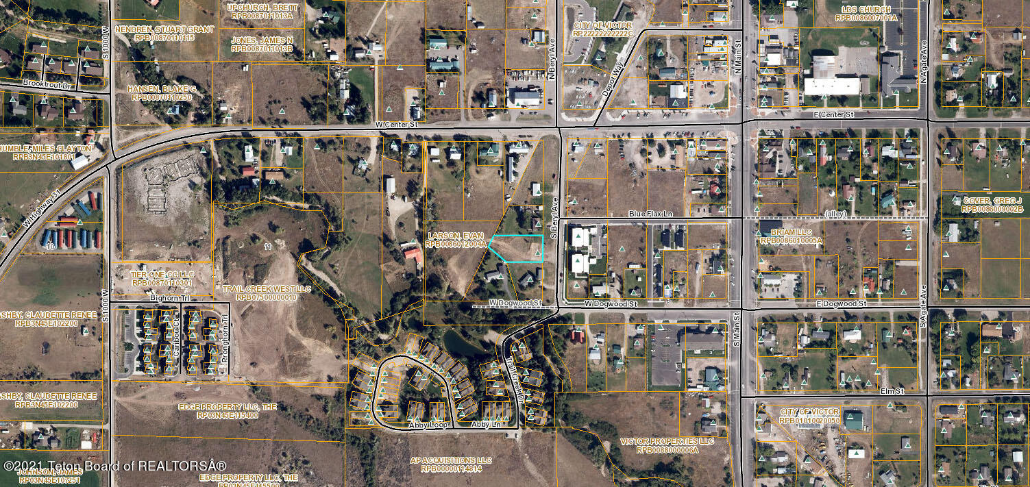 61 South Beryl Avenue Victor, ID 83455 - Photo 9 of 26 Lot Overhead From GIS Zoomed Out