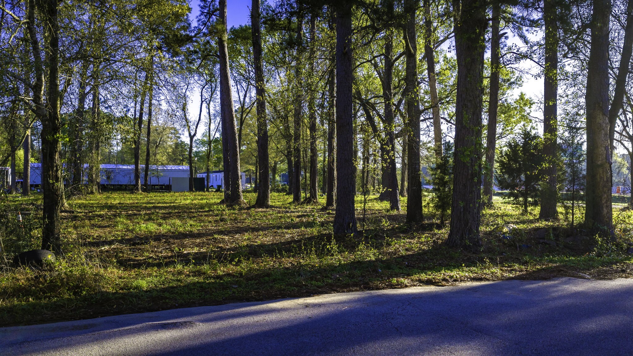 400 Hickory Street Cleveland, TX 77328 - Photo 3 of 10 a view of a house with a yard