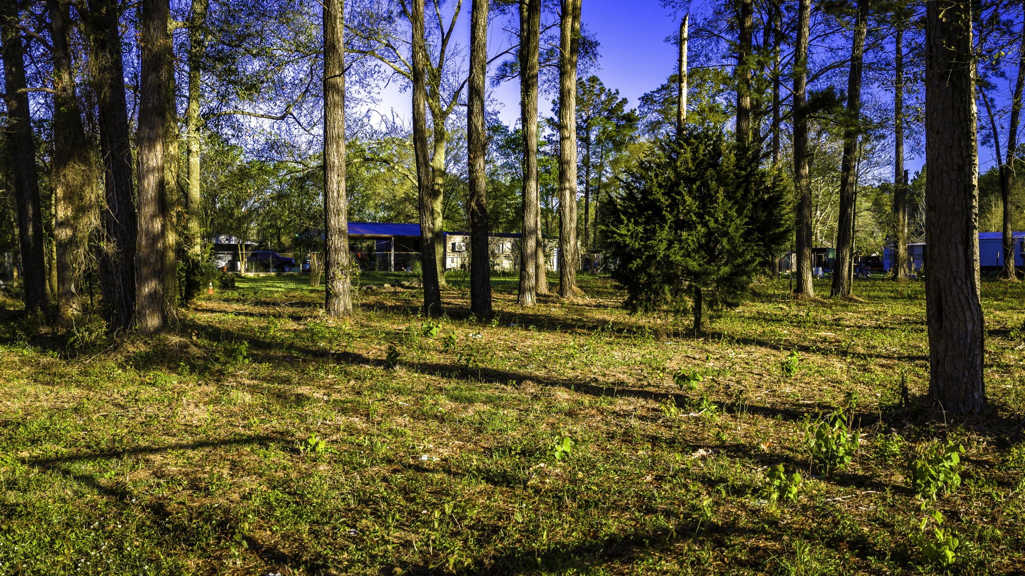 400 Hickory Street Cleveland, TX 77328 - Photo 4 of 10 a view of swimming pool with sitting area
