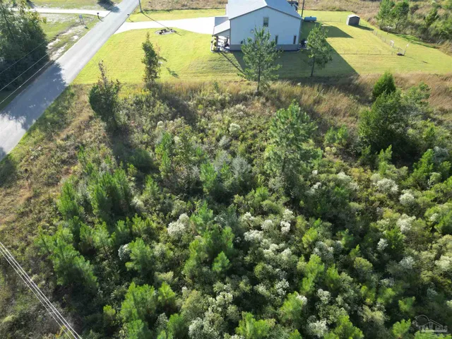 an aerial view of residential house with outdoor space and trees around