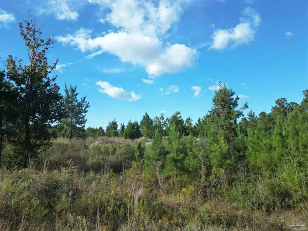 $95,000 | 4N Aubrey Lane, Pace, FL 32571