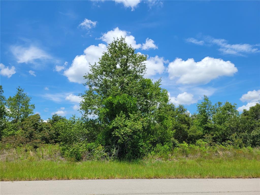 0 Southwest 56th Avenue Road Ocala, FL 34473 - Photo 1 of 1 Lot 2 of 3