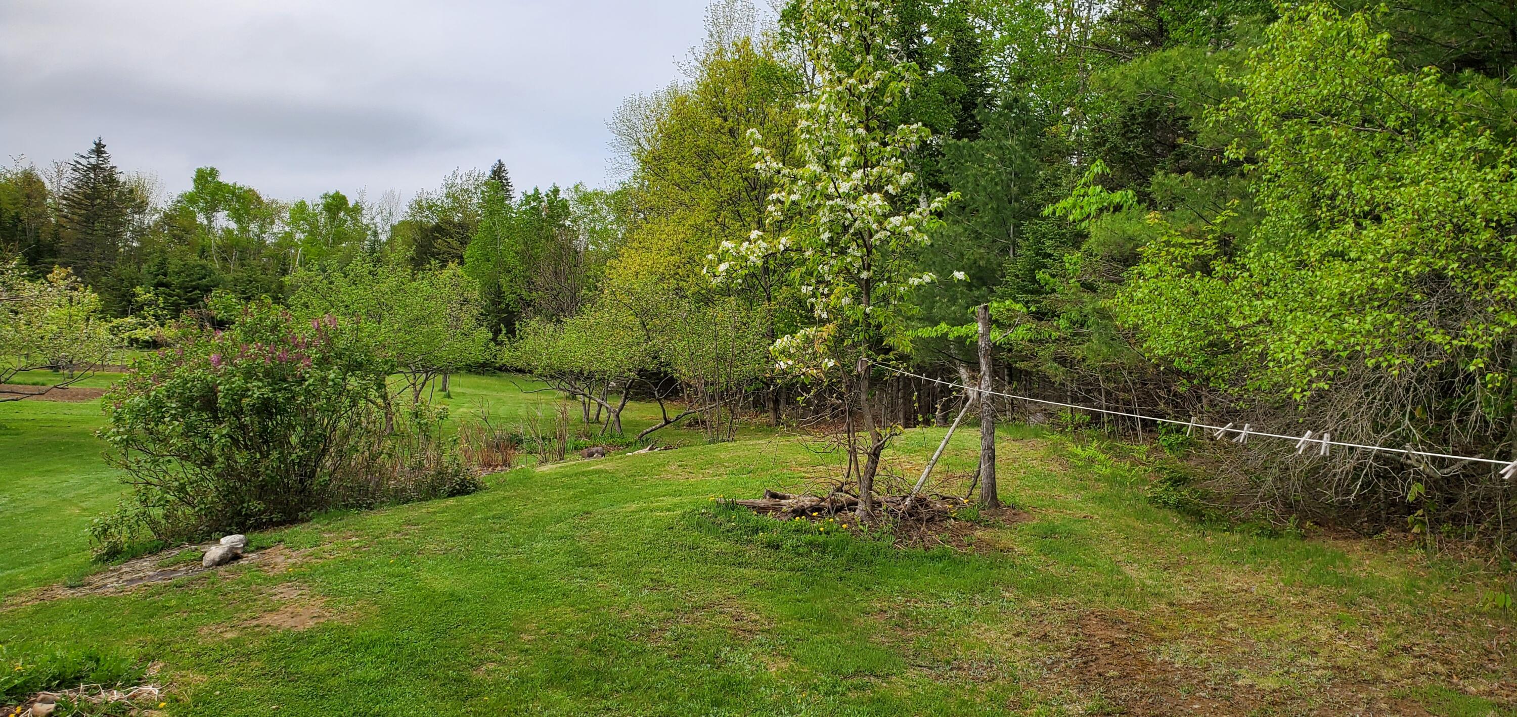 101 Cambridge Road Dexter, ME 04930 - Photo 39 of 43 20220521_152601