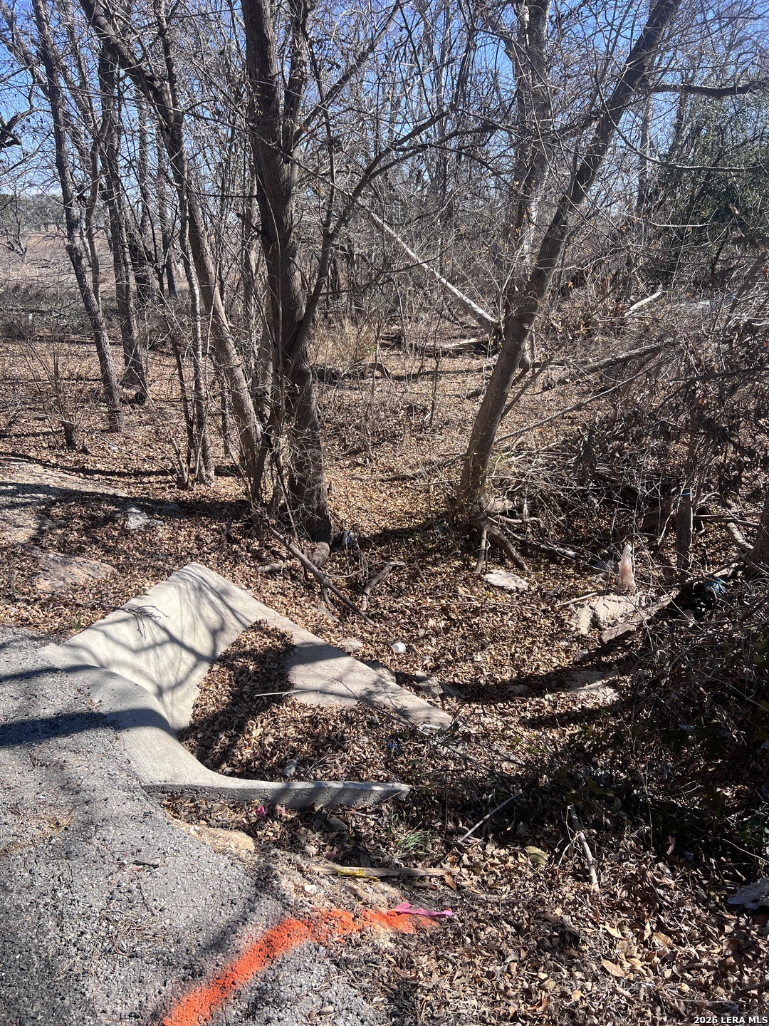 a view of tree covered with snow