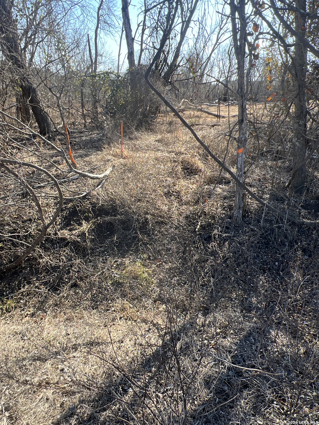 0 Ess Road Atascosa, TX 78002 - Photo 2 of 7 a view of a yard with a tree