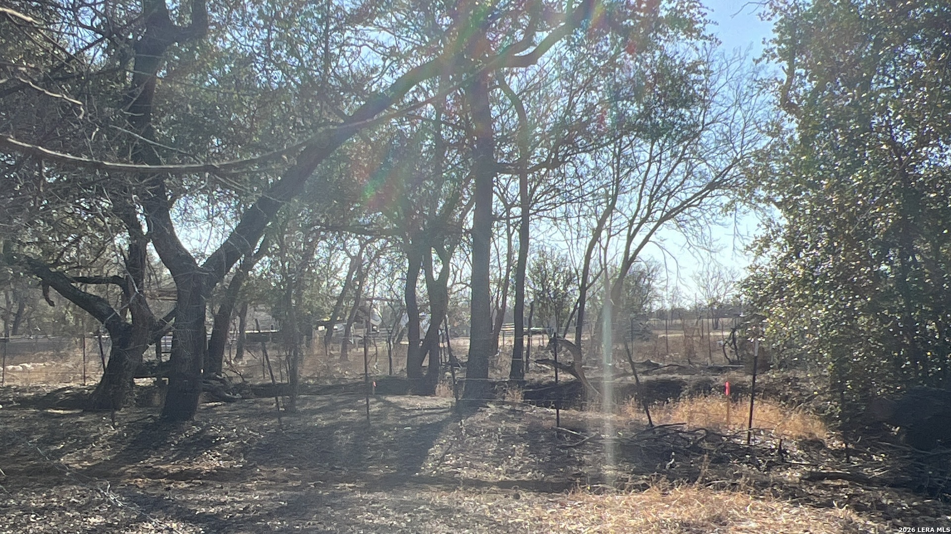 0 Ess Road Atascosa, TX 78002 - Photo 3 of 7