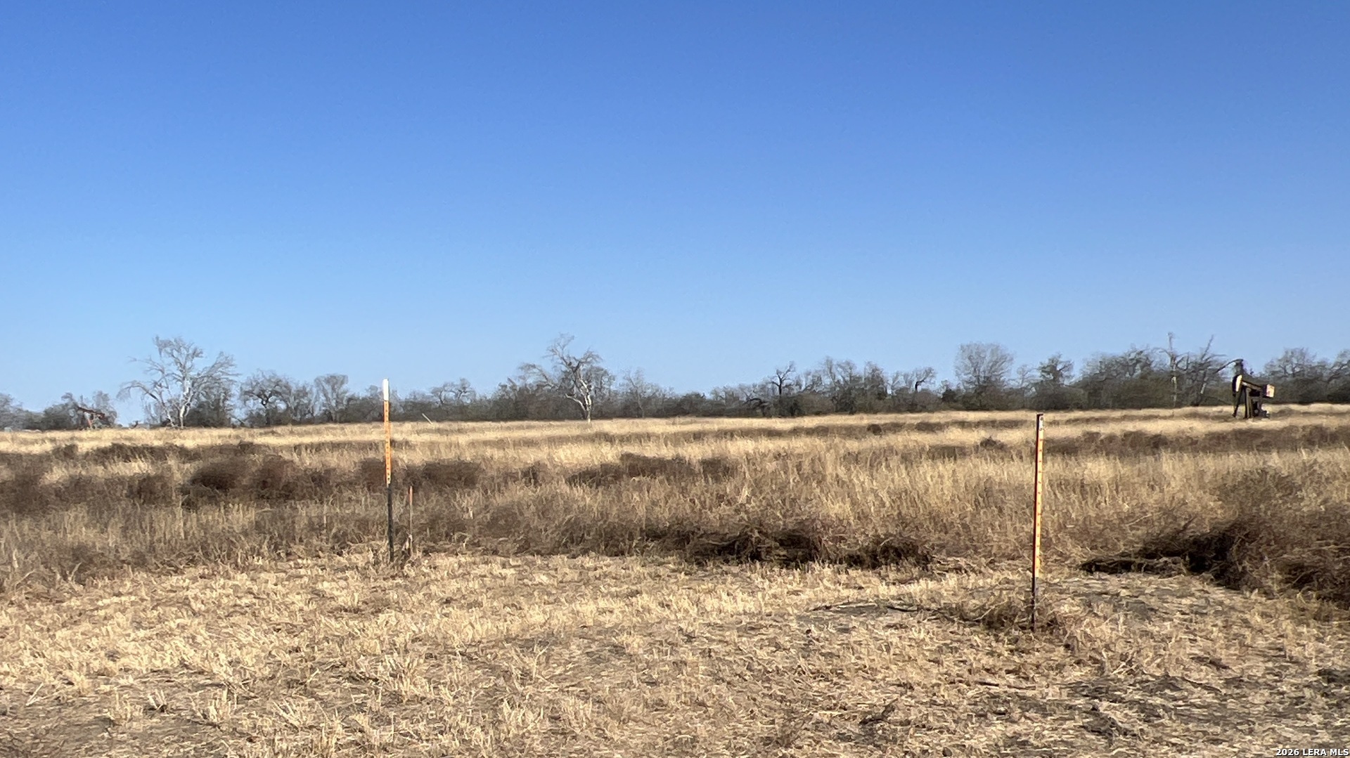 0 Ess Road Atascosa, TX 78002 - Photo 4 of 7 a view of lake with green space