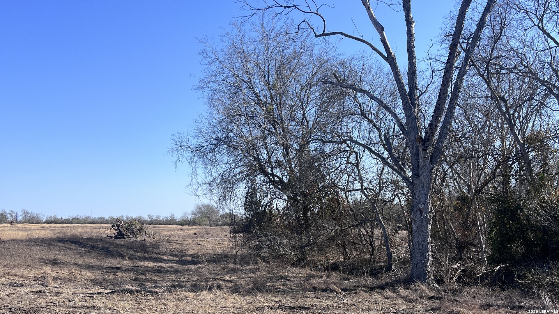 0 Ess Road Atascosa, TX 78002 - Photo 5 of 7 a backyard of a house with lots of green space