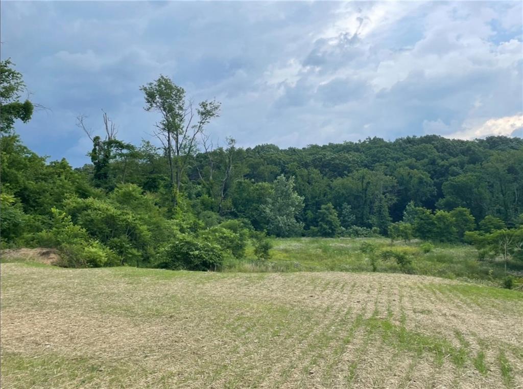 3372 Brodhead Road Aliquippa, PA 15001 - Photo 3 of 17 a view of a yard