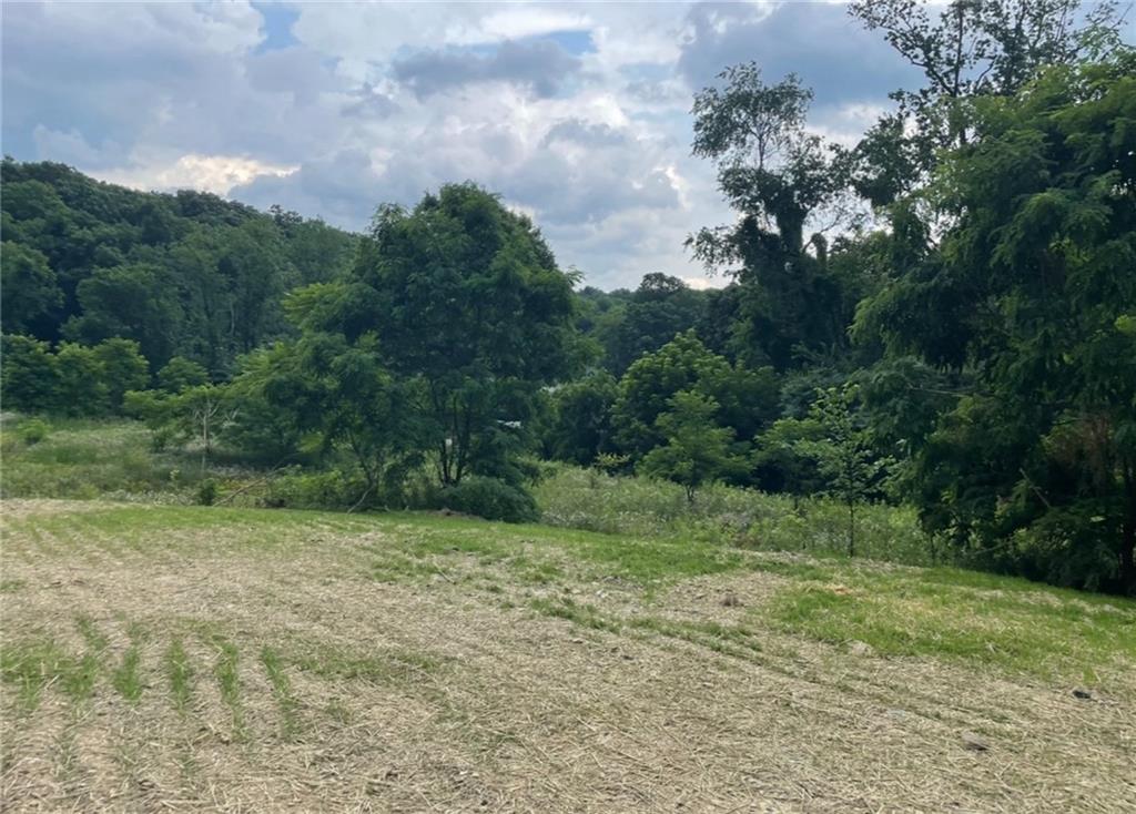 3372 Brodhead Road Aliquippa, PA 15001 - Photo 4 of 17 a view of outdoor space with trees all around