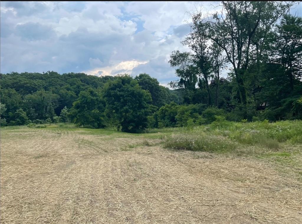 3372 Brodhead Road Aliquippa, PA 15001 - Photo 5 of 17 a view of outdoor space with green field and trees