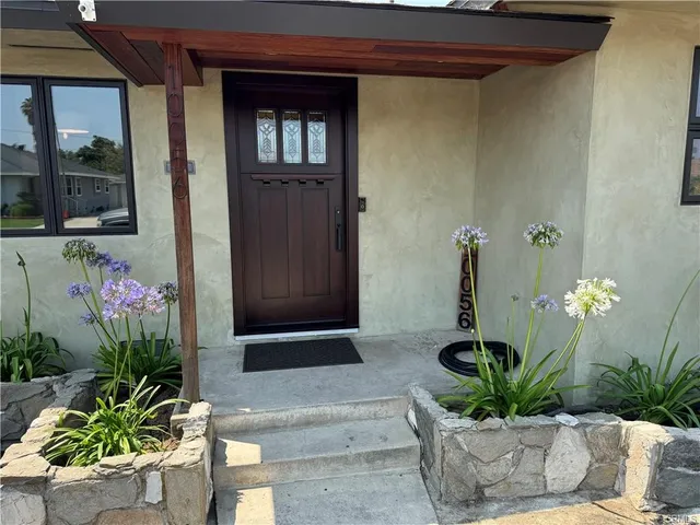 a potted plant sitting in front of a house