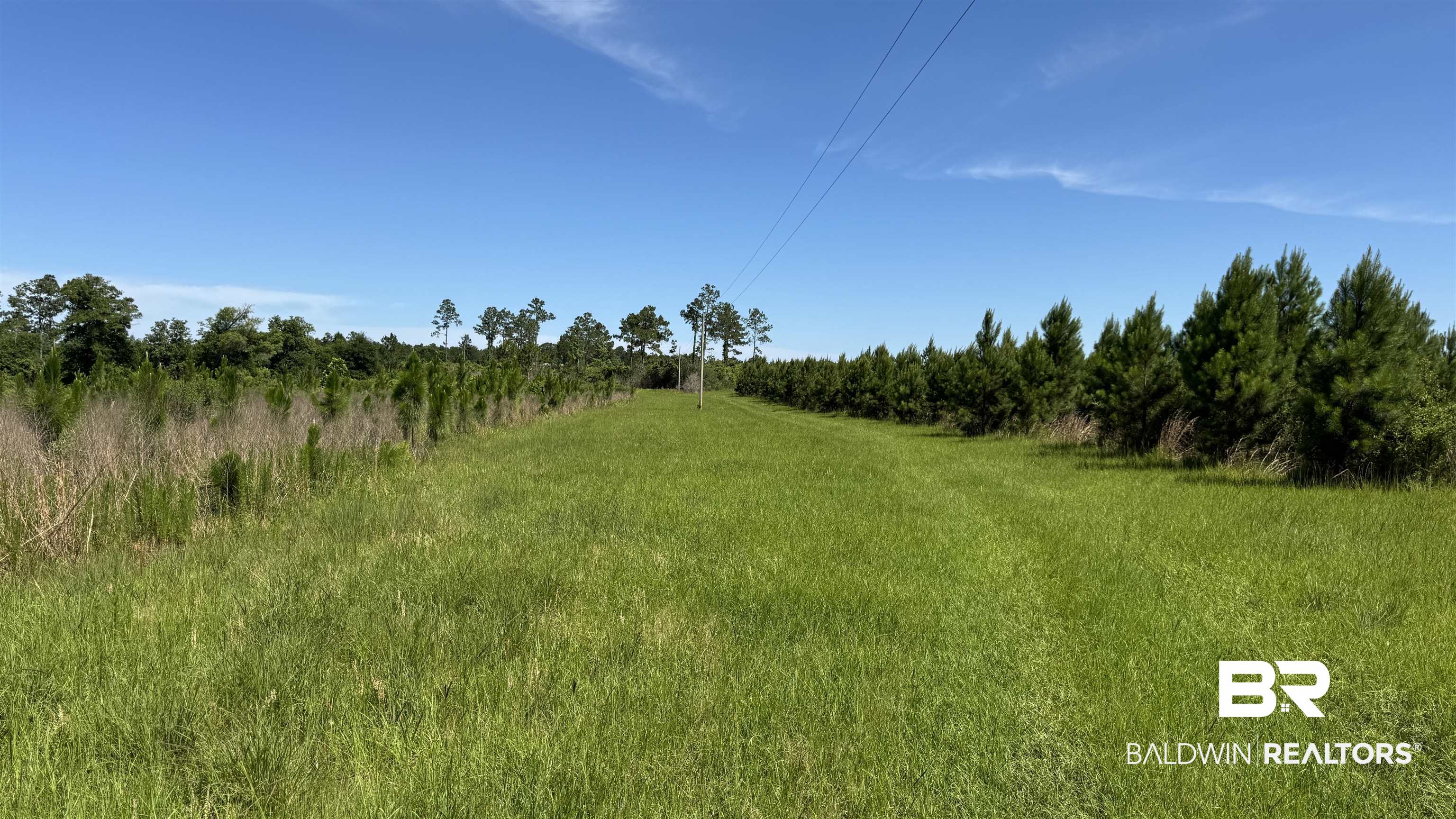 0 County Road 87 Elberta, AL 36530 - Photo 41 of 46