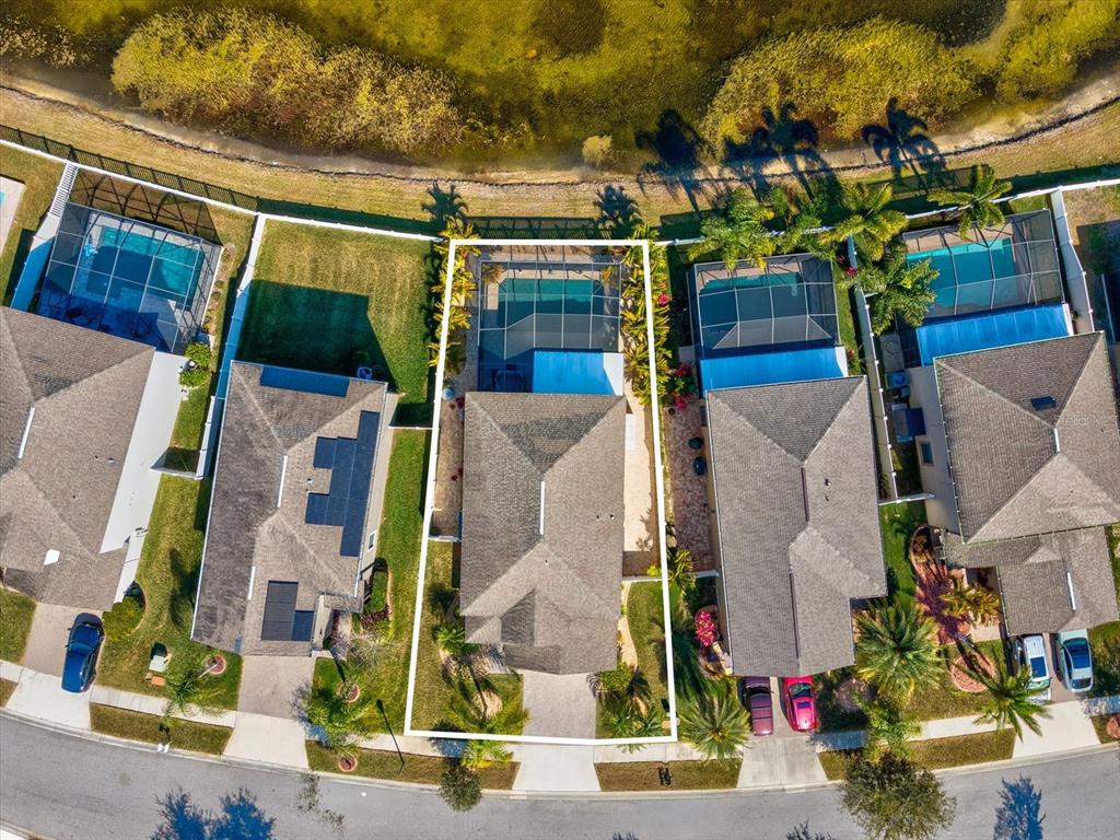 1716 Hadden Hall Place Trinity, FL 34655 - Photo 60 of 75 a view of outdoor space and swimming pool
