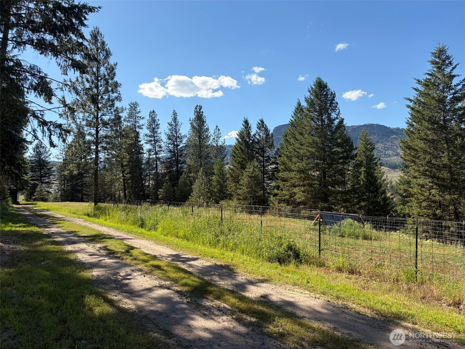 88 Little Bear Road Republic, WA 99166 - Photo 29 of 38
