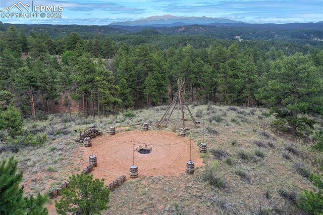 1701 Wildhorn Road Florissant, CO 80816 - Photo 47 of 50 Gallery Image 47