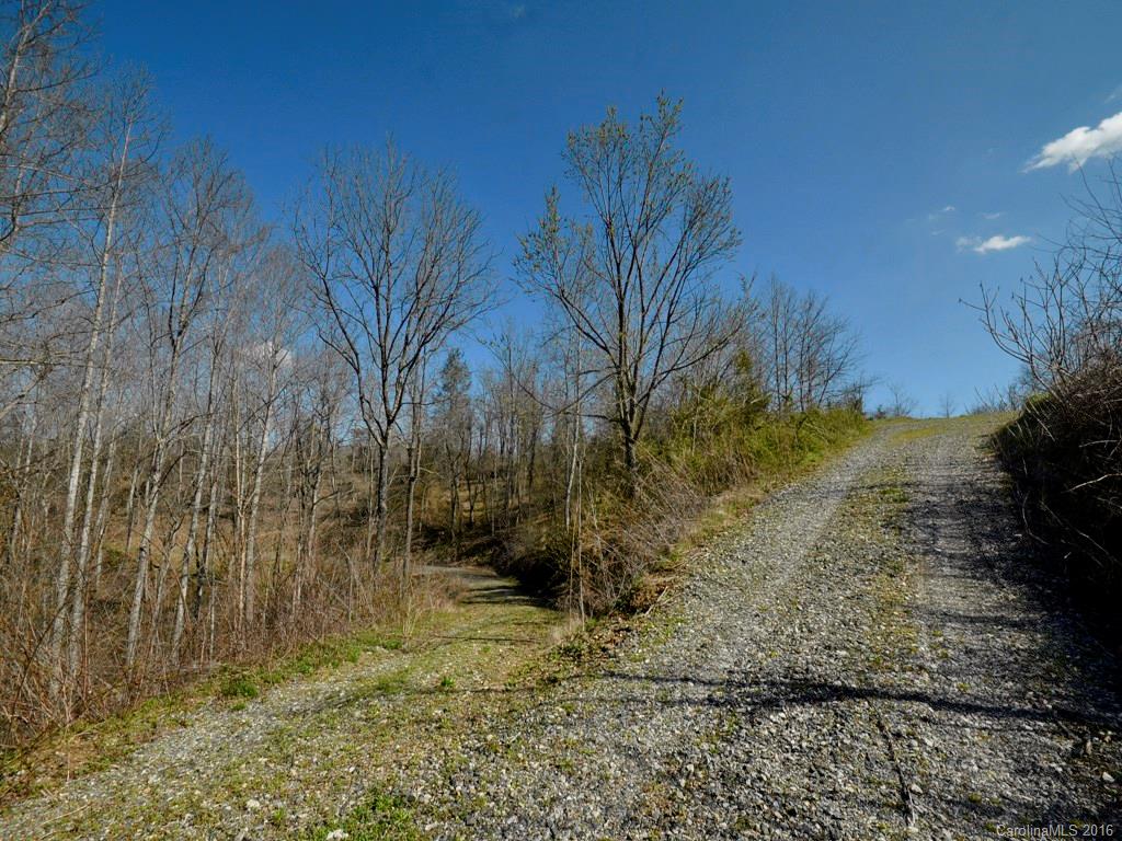 9999 Little Pine Road, Unit 2 & 3 Marshall, NC 28753 - Photo 6 of 9