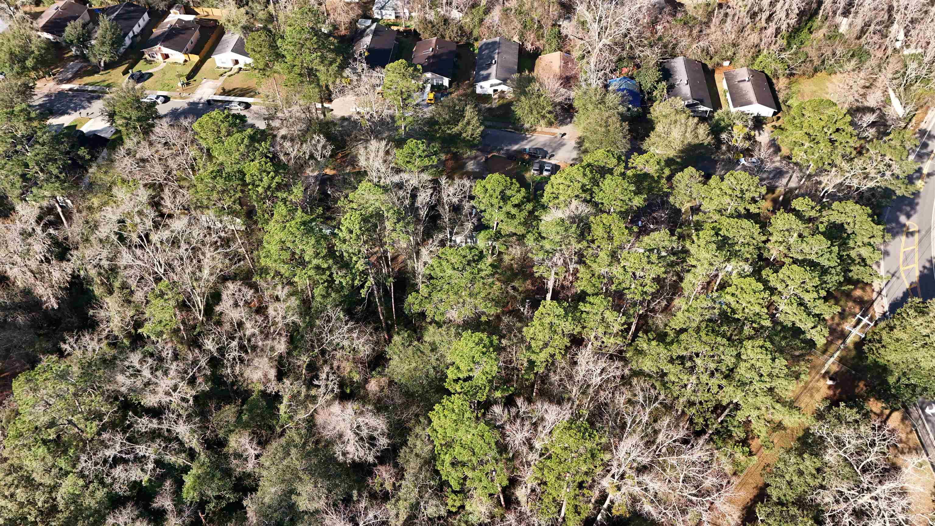 0 Lonnbladh Road Tallahassee, FL 32308 - Photo 1 of 6 Gallery Image 1